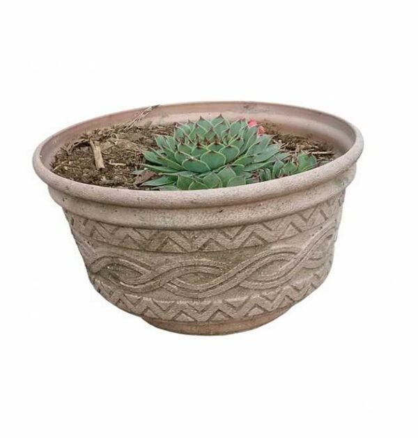 Alcachofa de la Casa